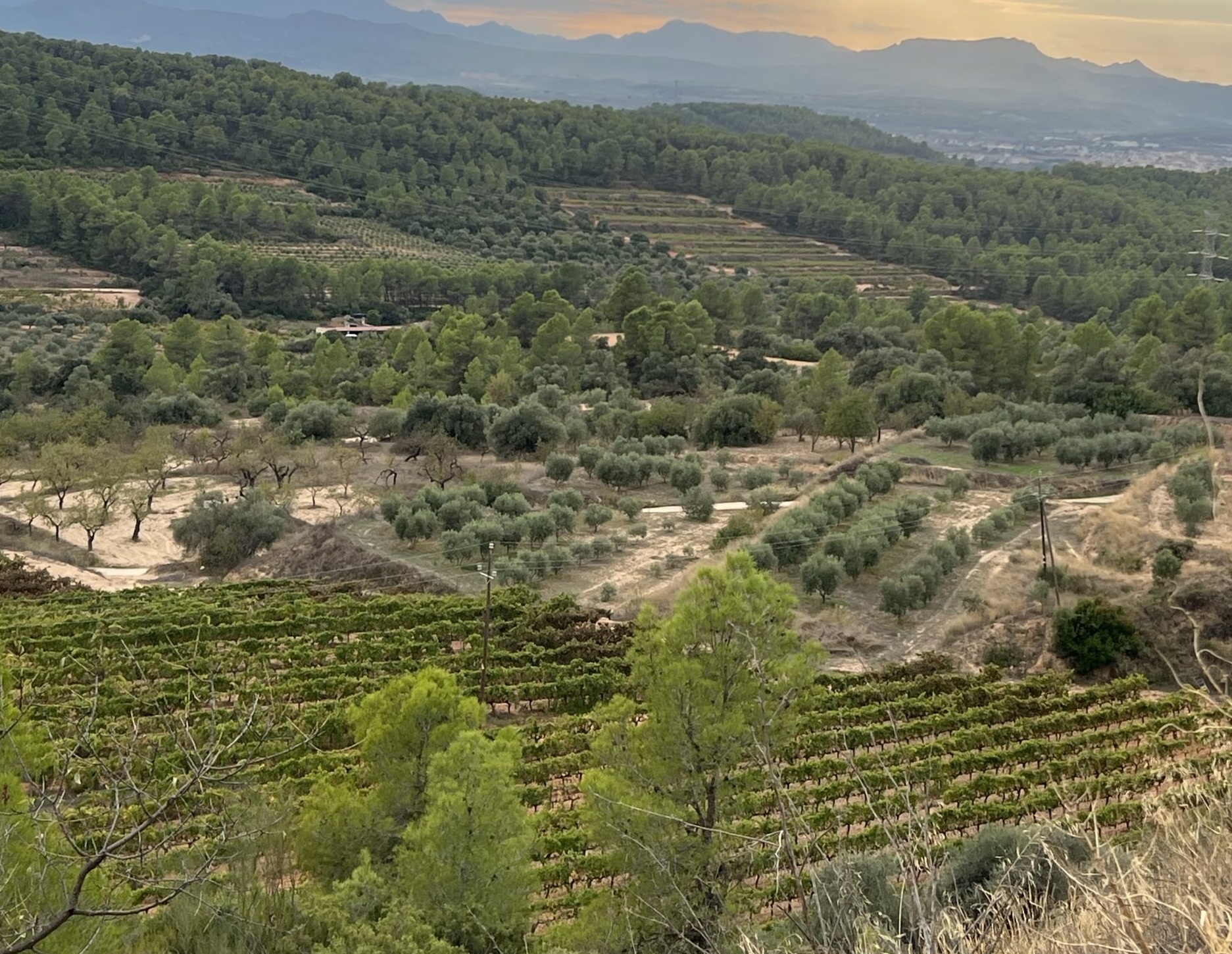 Klasikinės Ispaniškos pomidorų salotos